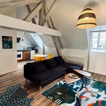 Rhizhome - Coeur De Ville, Appartement Spacieux Auxerre Exterior foto