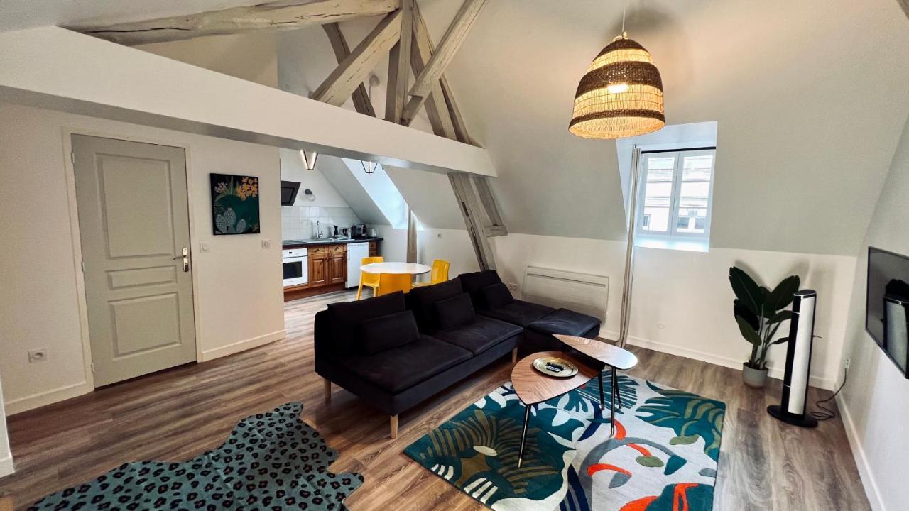 Apartment Rhizhome - Coeur De Ville, Spacieux Auxerre